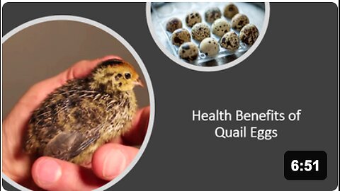 Quail Eggs Natural Medicine Benefits, Uses & Side Effects