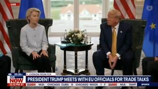 Trump Tells EU President Ursula Von Der Leyen That Windmills Are a Scam