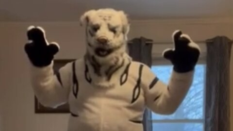 Nick The Tiger is looking for his prey