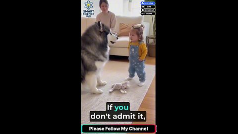 “Baby vs Giant Dog — Their Cute Argument Will Make Your Day! 😍🐶🤣”