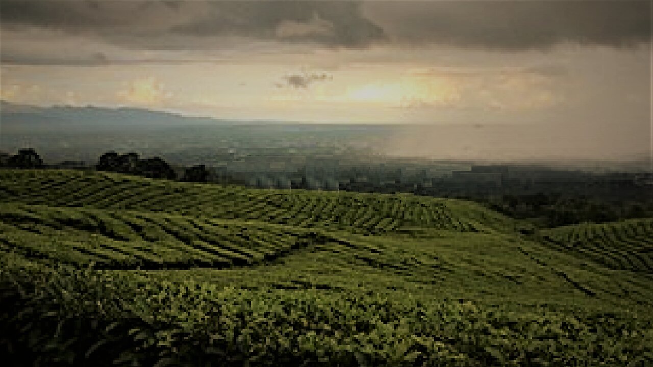 South Sumatra's secluded town reflects on android's vulnerability