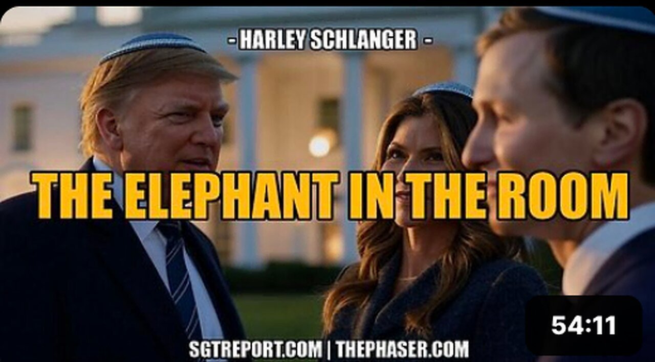 "Understanding 'The Elephant in the Room' - Insights from Harley Schlanger"