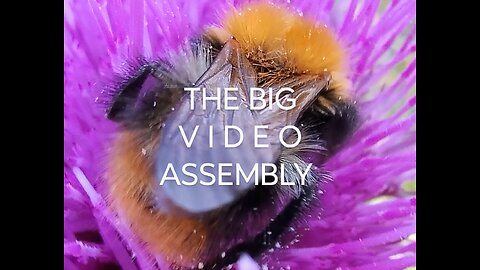 THE BIG VIDEO ASSEMBLY