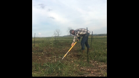 It Rained! Time to Redo the Foodplot
