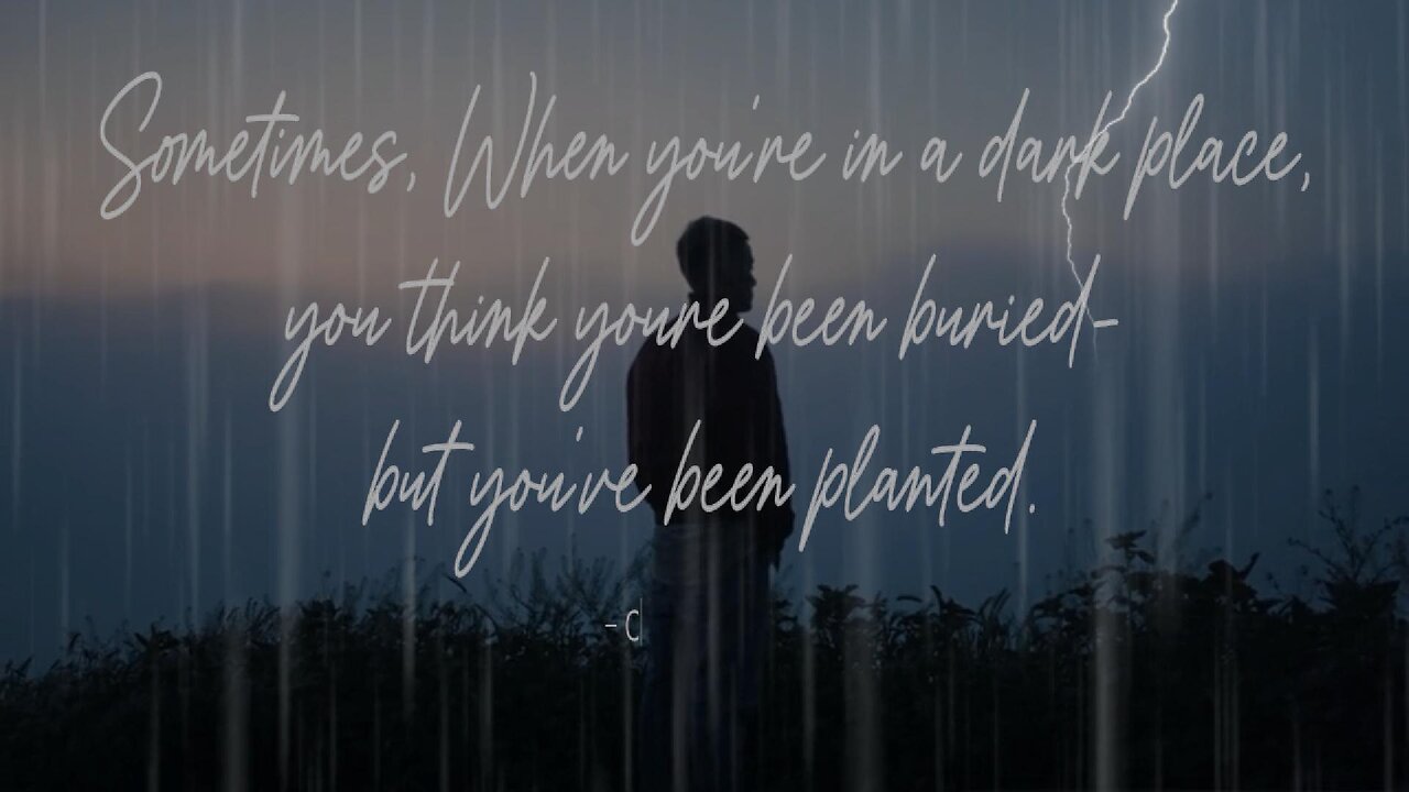 You Haven’t Been Buried — You’ve Been Planted 🌱 (This Will Change How You See Everything)