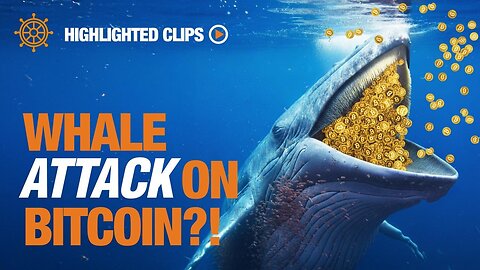 Are Bitcoin Whales MANIPULATING the Price?! | Highlighted Clips