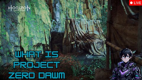Project Zero Dawn
