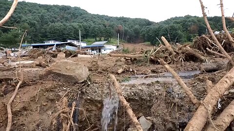 Torrential rain leaves trail of devastation in South Korea