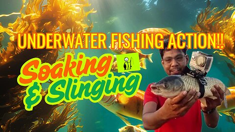 UNDERWATER FISHING ACTION!! - Inshore rockfishing 2025