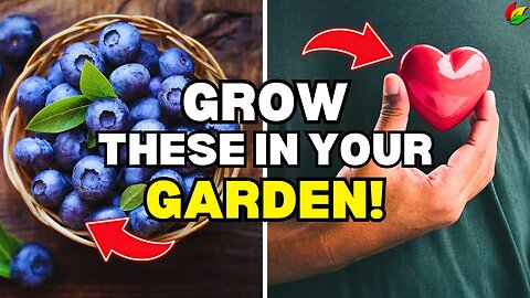 10 Garden Superfoods to Boost Your Health at Home!