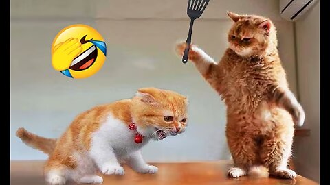Funniest Animals 2023 😂 New Funny Cats and Dogs Videos 😻🐶