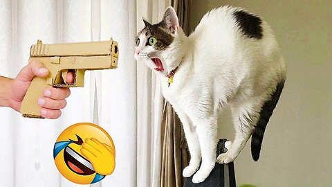 The Ultimate Funny Animal Compilation (Try Not to Laugh Challenge!) 🤣