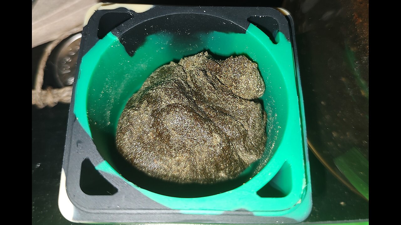 Sol Rocks 136 Strains of Pure Sativa