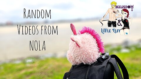 Random Videos from NOLA 2024!