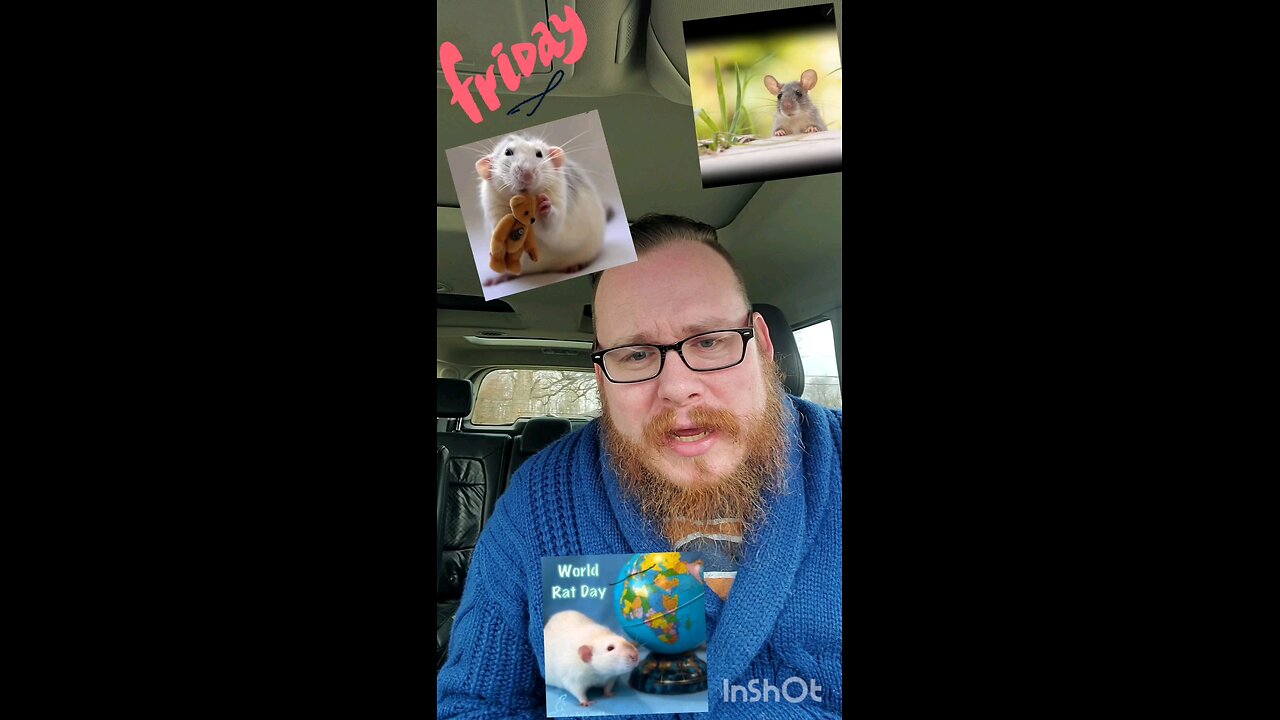 Friday Ramen and rats!