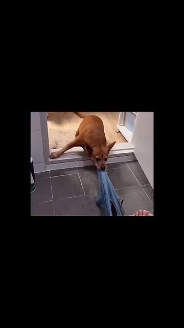 Lovely! Very positive!