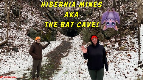 HIBERNIA MINES! Structures and Bat Cave!