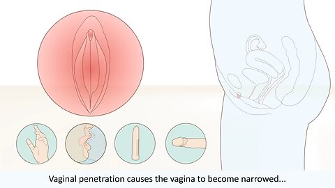 The female orgasm explained(1080P_HD)