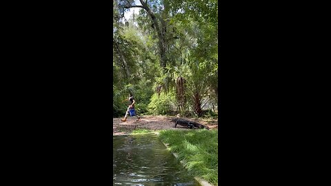 Gator training