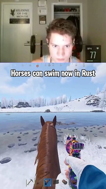 New rust horse update