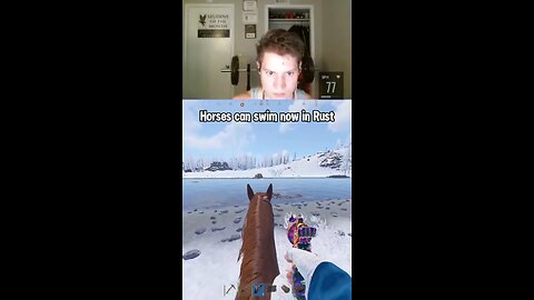 New rust horse update