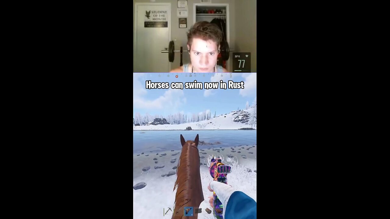 New rust horse update