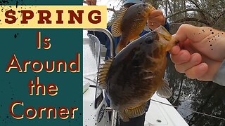 How to Catch Panfish on a Jig