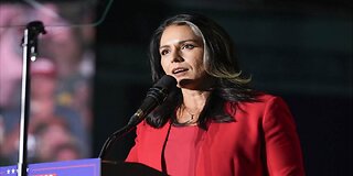 Tulsi Gabbard 'Is Lying' Says Ex-CIA Official Who Oversaw Russian Intelligence on the 2016 Elections
