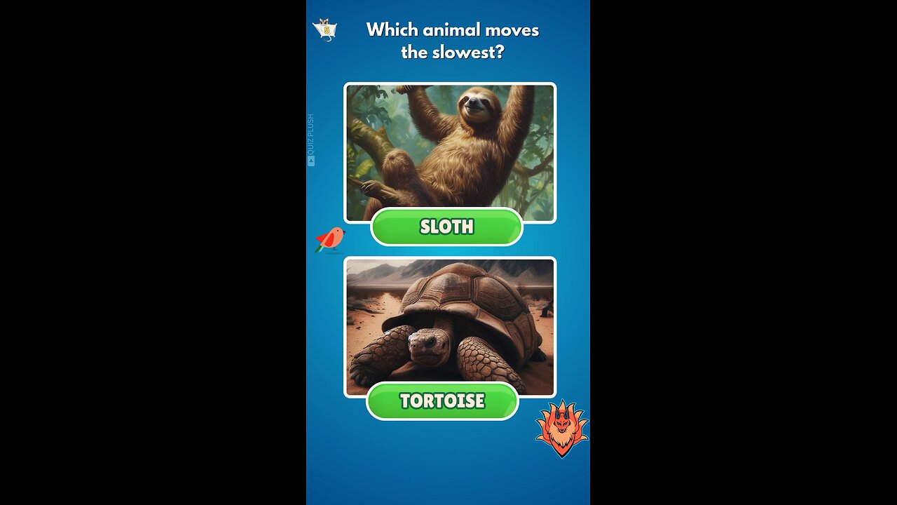 Can you guess the slowest animal?