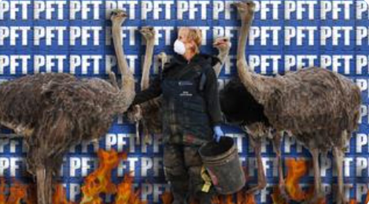 THIS IS UNIVERSAL OSTRICH INC. - A DEEP DIVE WITH PRESS FOR TRUTH