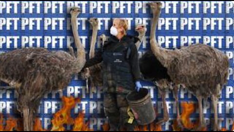 THIS IS UNIVERSAL OSTRICH INC. - A DEEP DIVE WITH PRESS FOR TRUTH
