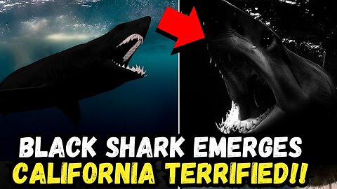 🚨 BREAKING: Scientists Discover MYSTERIOUS NEW SHARK SPECIES Lurking in Deep Waters!!