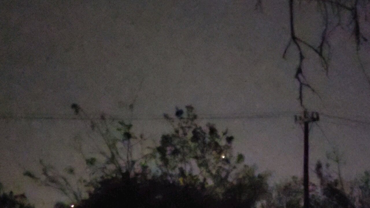 UFO/Drone/Cylon