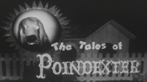 The Tales of Poindexter: The Stay-Home Bunny (1957)