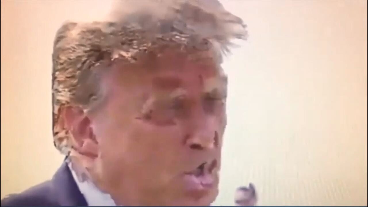 Reptos 🔴 Donald Trump 🔴 Camouflage breaks down