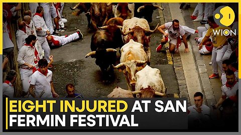 Pamplona Bull Run: 8 Injured in Final Bull Run at Spain's San Fermin Festival | WION World News