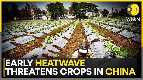 Eastern China Swelters Under X Intense Heatwave | World News | WION
