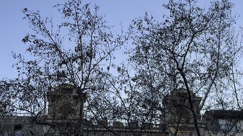 Edificio Barcelona 119