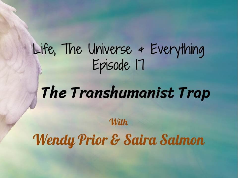 Episode 17 - The Transhumanist Trap