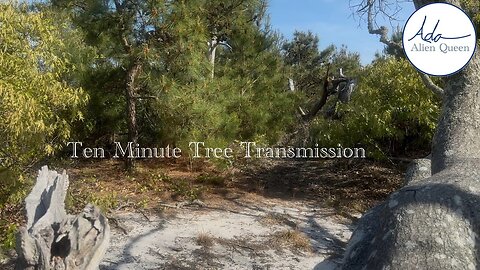 Ada Alien Queen • Earth Heart Beats • Take #00022 • Ten Minute Tree Transmission