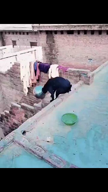 The result of hitting everywhere