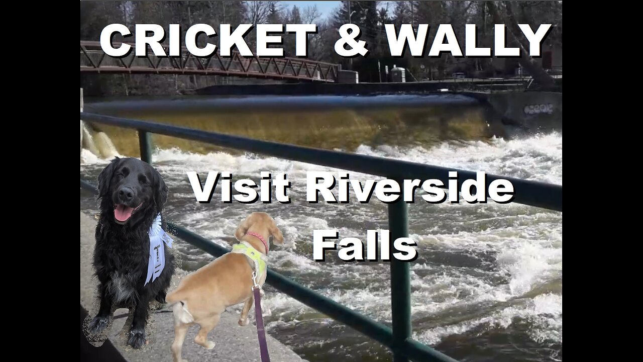 Cricket and Wally visit the roaring Waterfalls at Riverside Park | April 2025