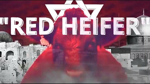 Red Heifer: And Times?