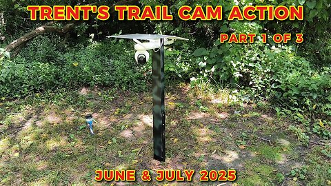 Trent's Trail Cam Action - June & July Of 2025 - Part 1 Of 3
