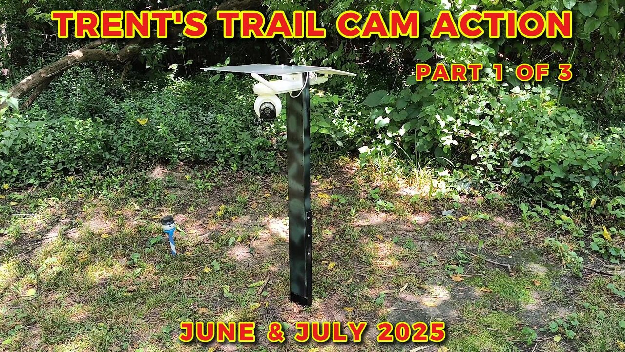 Trent's Trail Cam Action - June & July Of 2025 - Part 1 Of 3