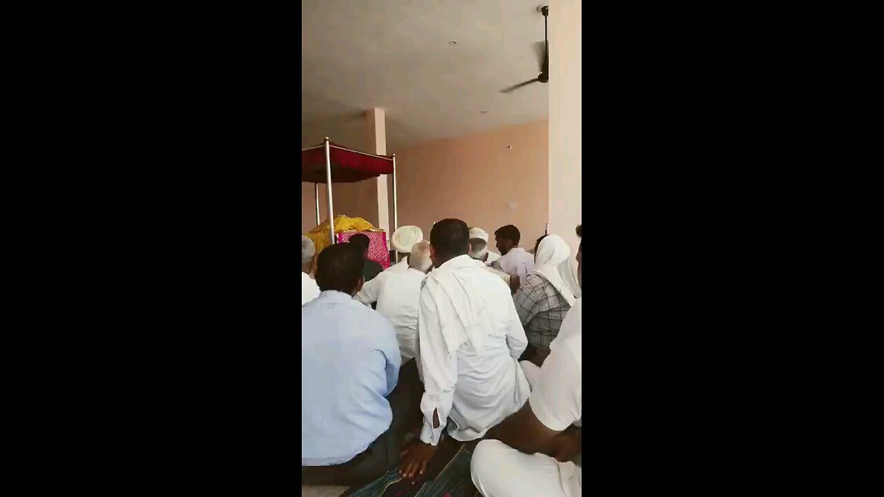 satisfying Video