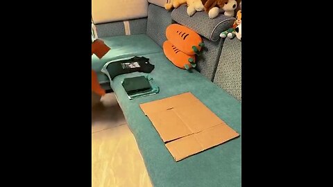 Folding his clothes---_ 😁😁😁