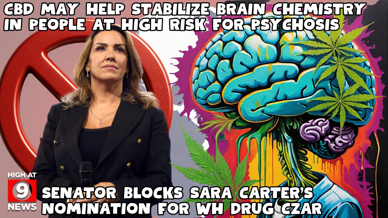 Senator Blocks Sara Carter’s Nomination for White House Drug Czar After Procedural Dispute