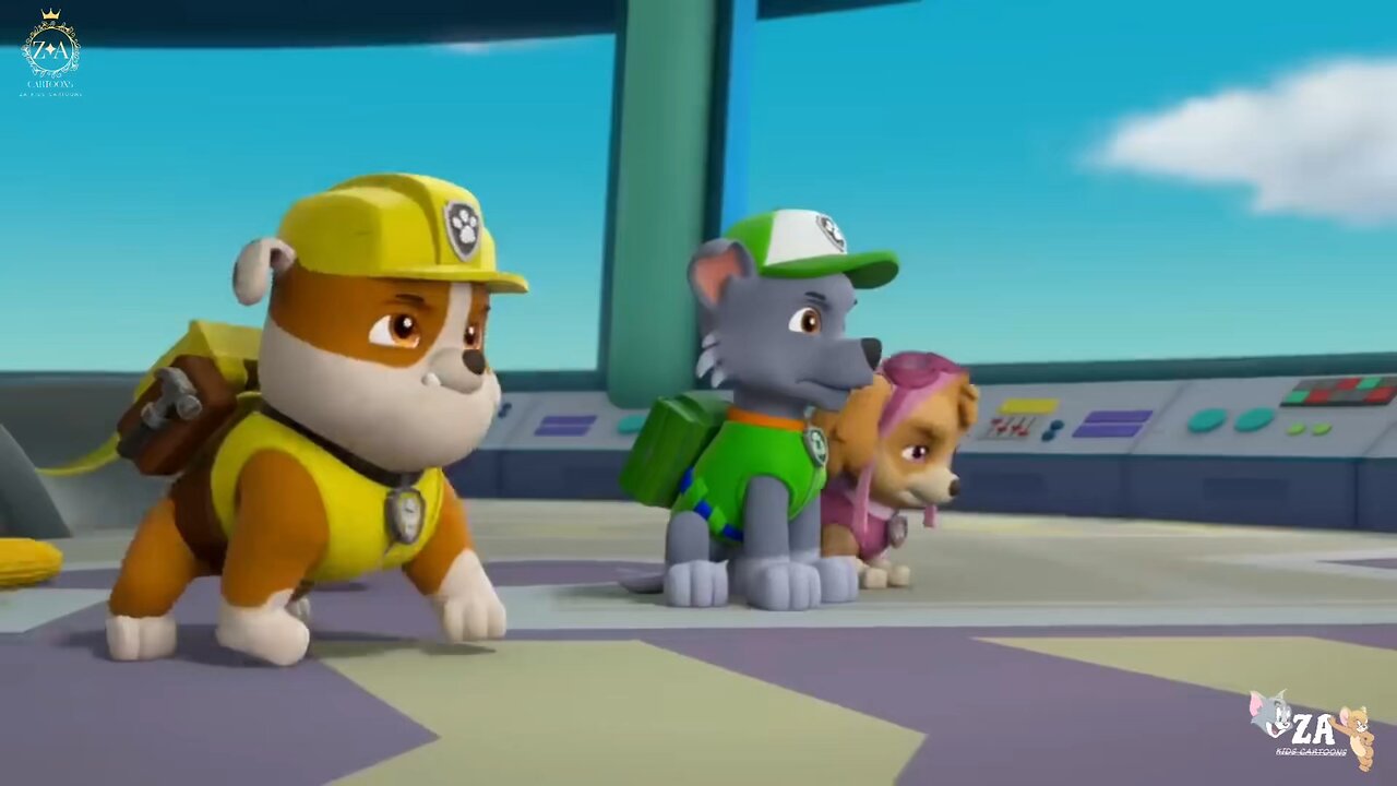 PAW Patrol Cartoons