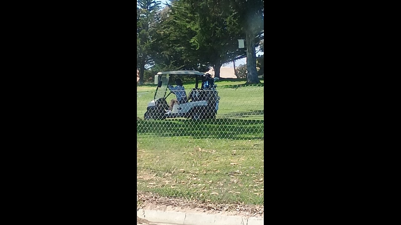 @ICE Rich illegal dracs assaulting humans with golf balls